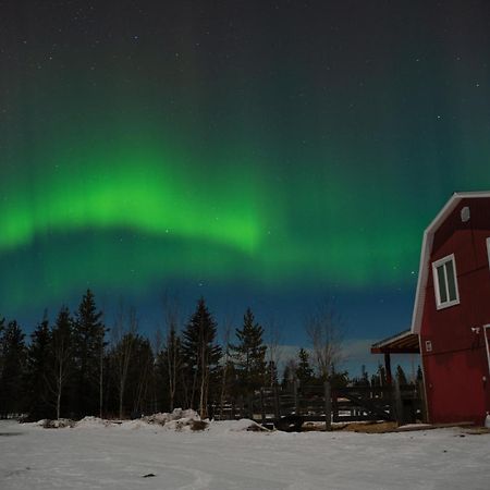 The Big Red Barn Daire Whitehorse Dış mekan fotoğraf